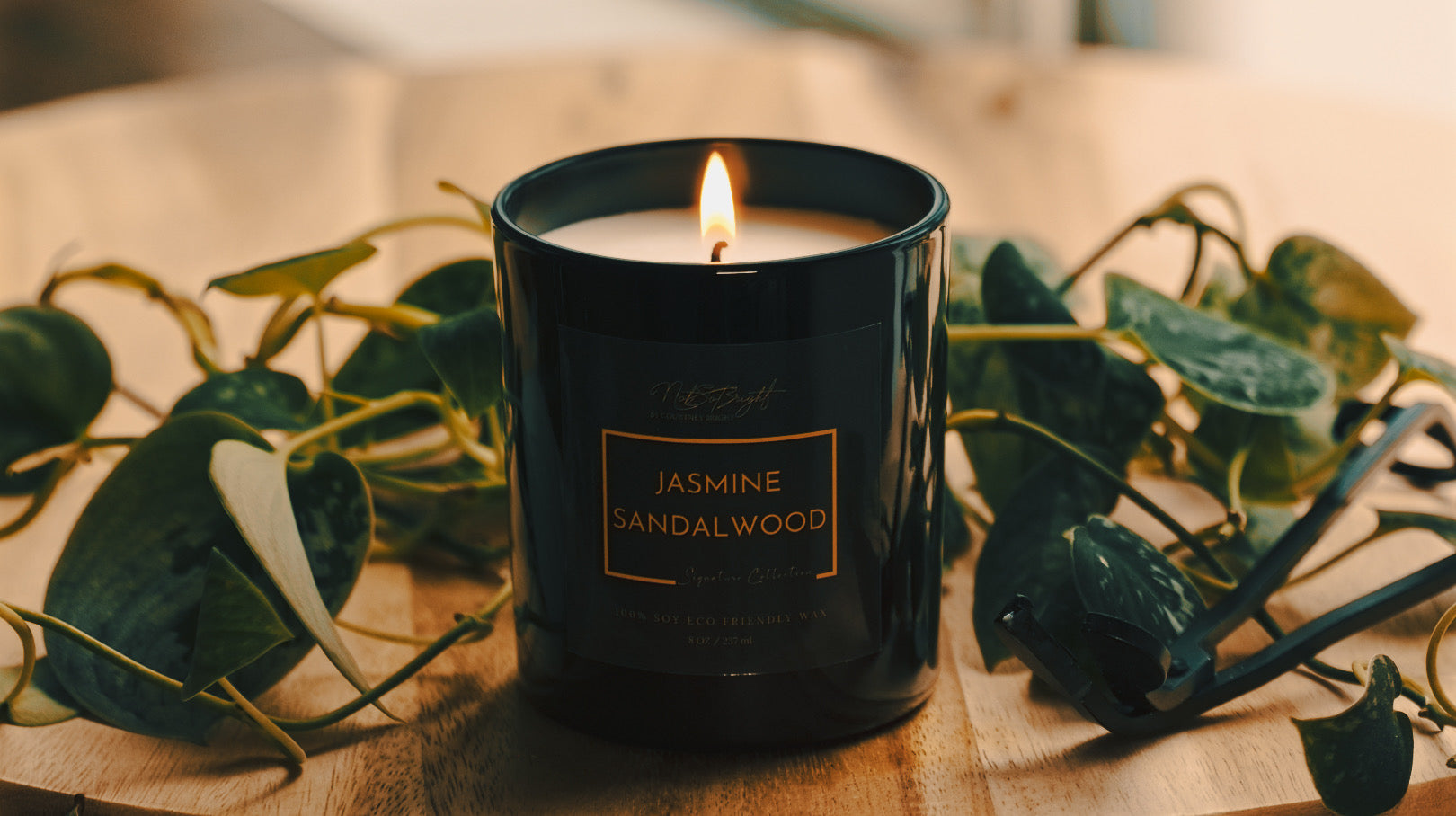Jasmine Sandalwood Signature Candle